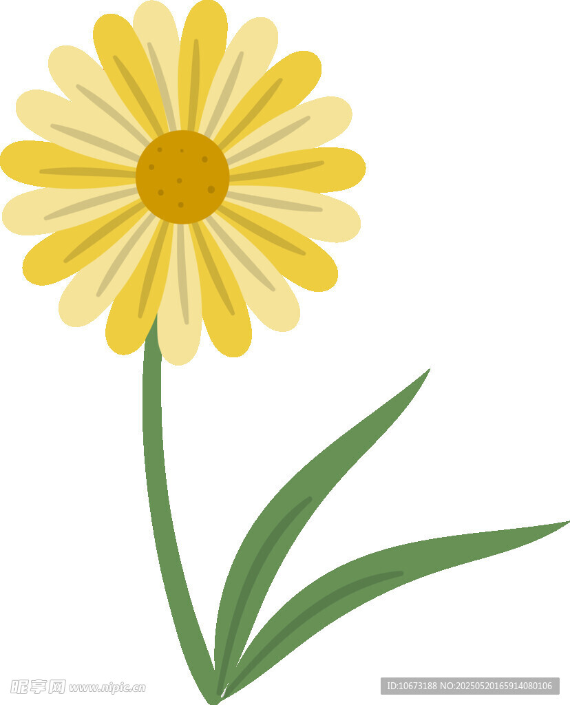 黃色雛菊插畫