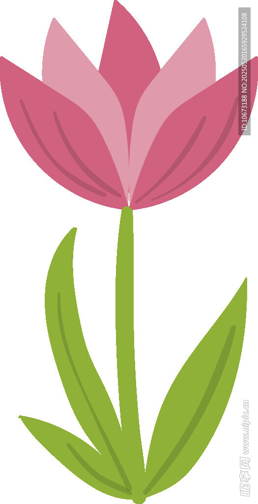 粉色花朵插畫