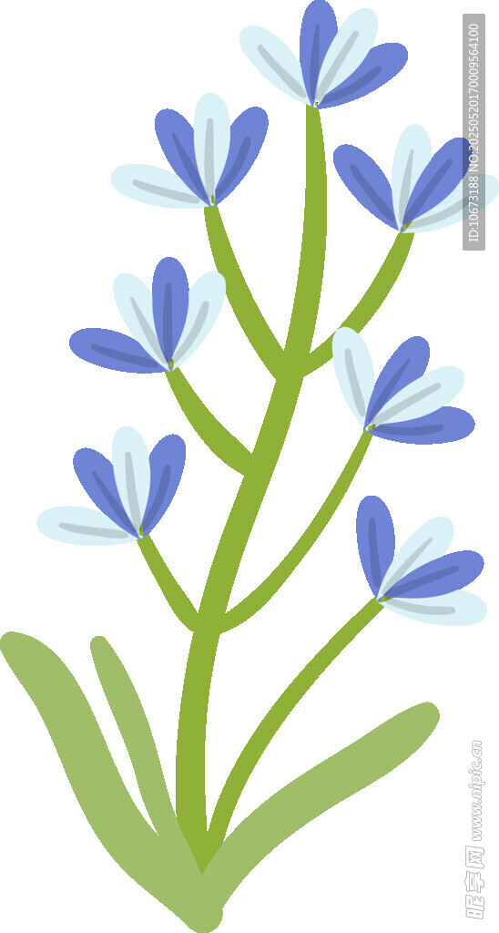 藍色小花插畫