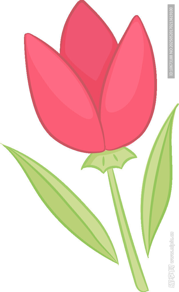 紅色郁金香插畫