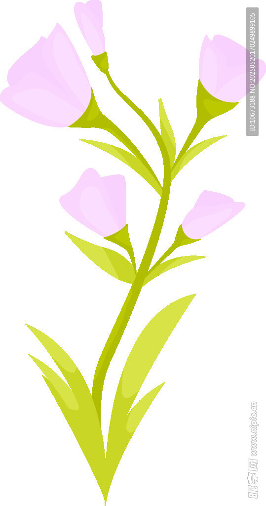 淡紫色花朵插畫