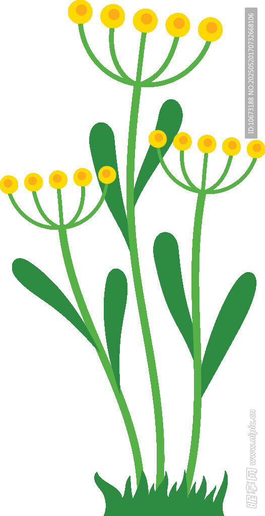 黃色小花綠色莖葉植物圖