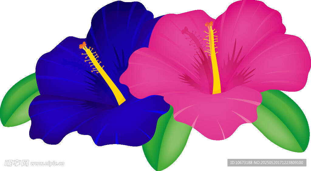 雙色花朵插畫