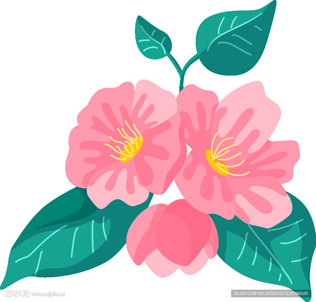 粉色花卉插畫