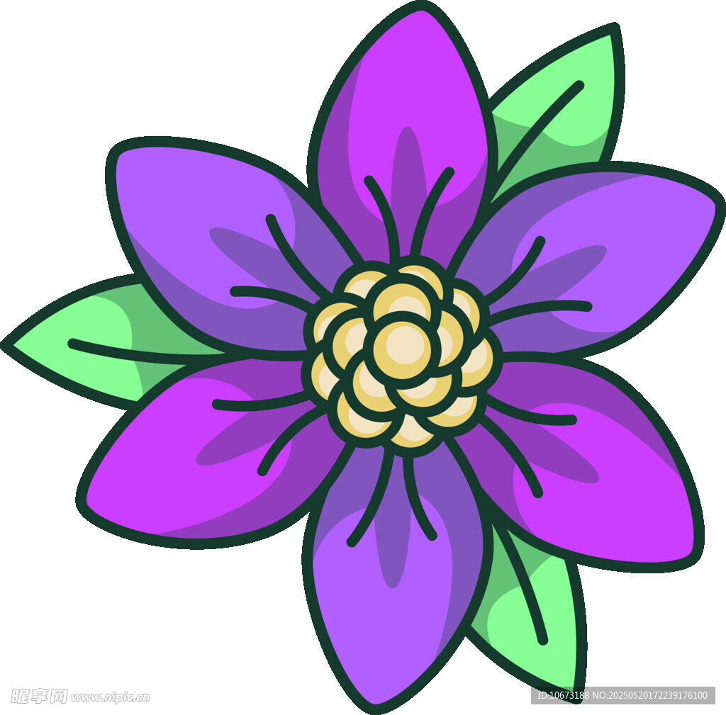 紫色花朵插畫
