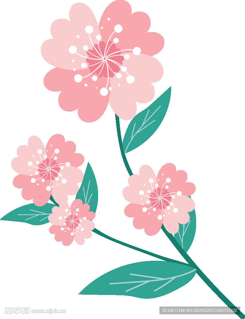 粉色花卉插畫