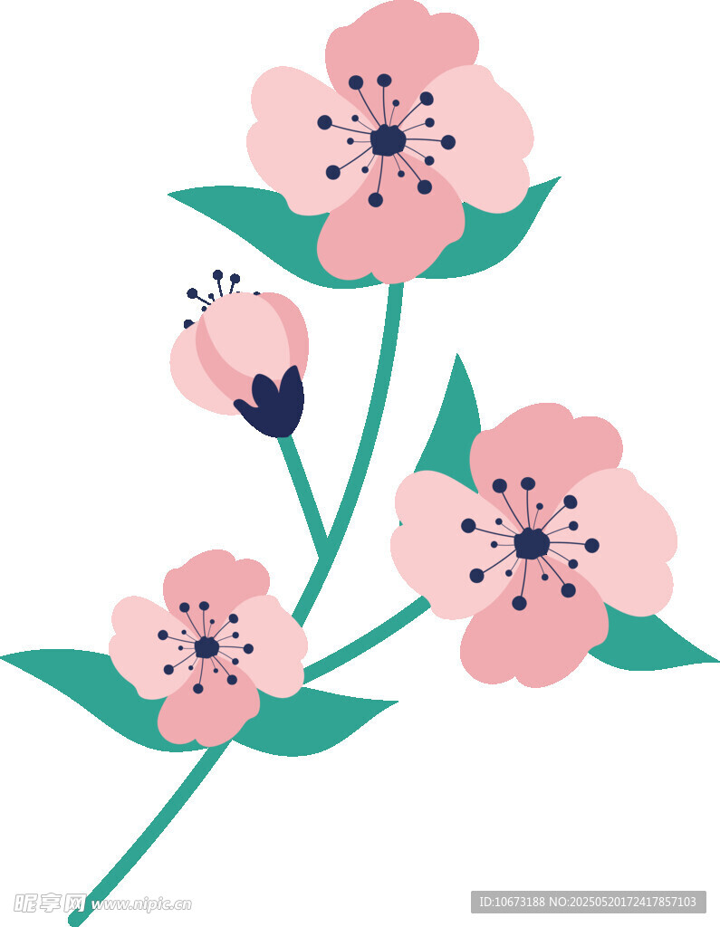 粉色花卉插畫