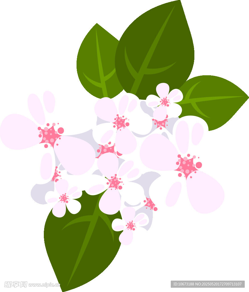 粉色花朵與綠葉插畫