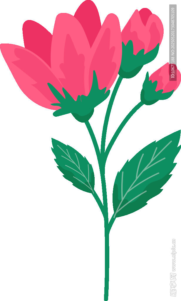 粉色花卉插畫