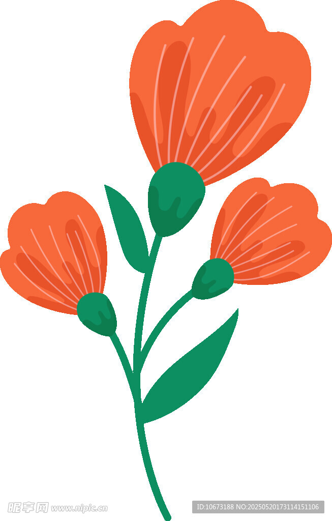 橙色花朵插畫
