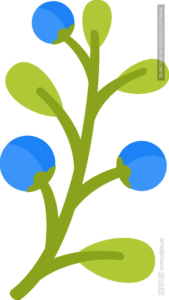藍色漿果植物插畫