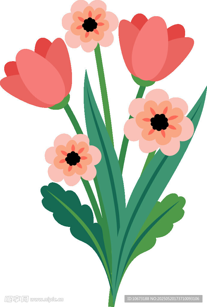 粉色花卉插畫