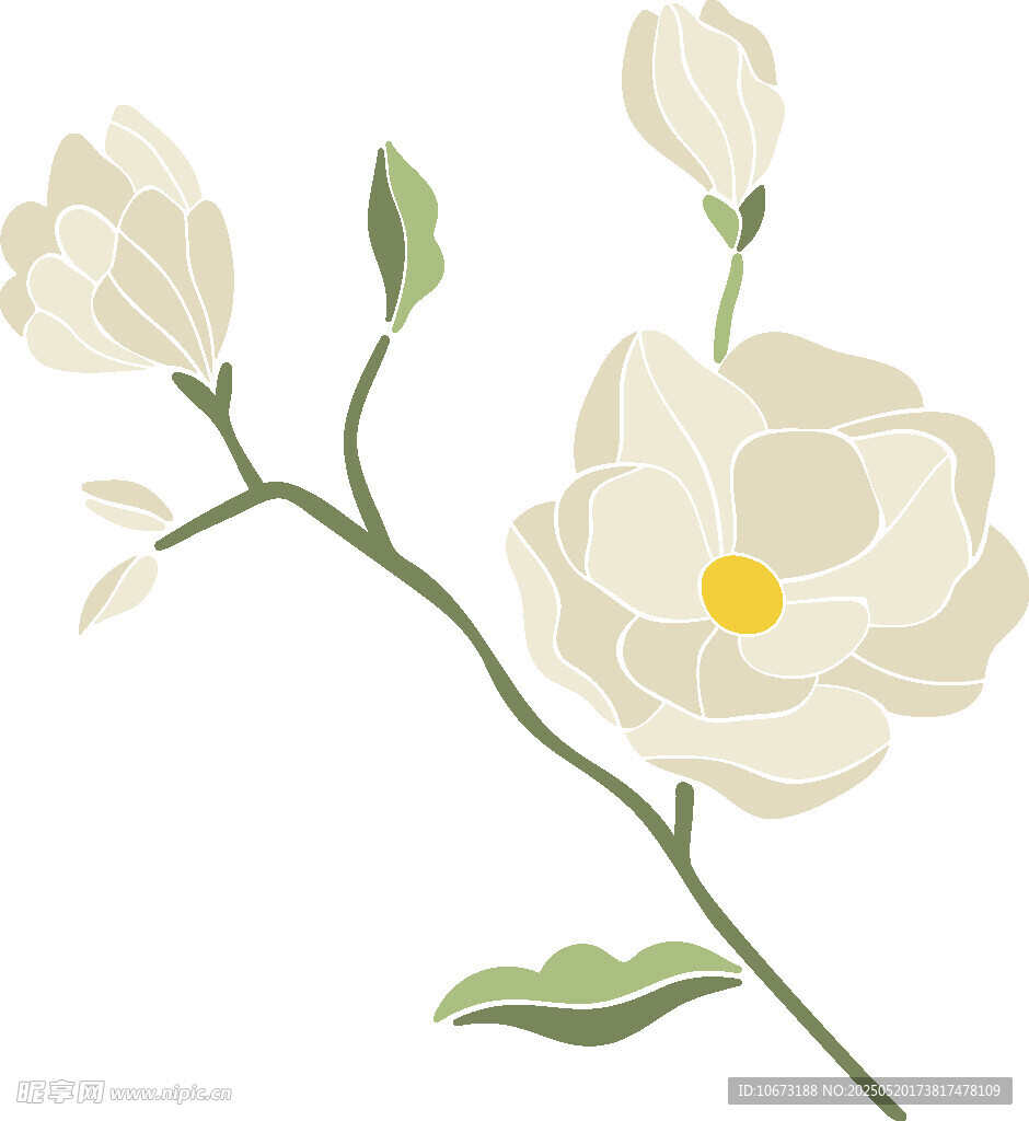 白色花卉插畫