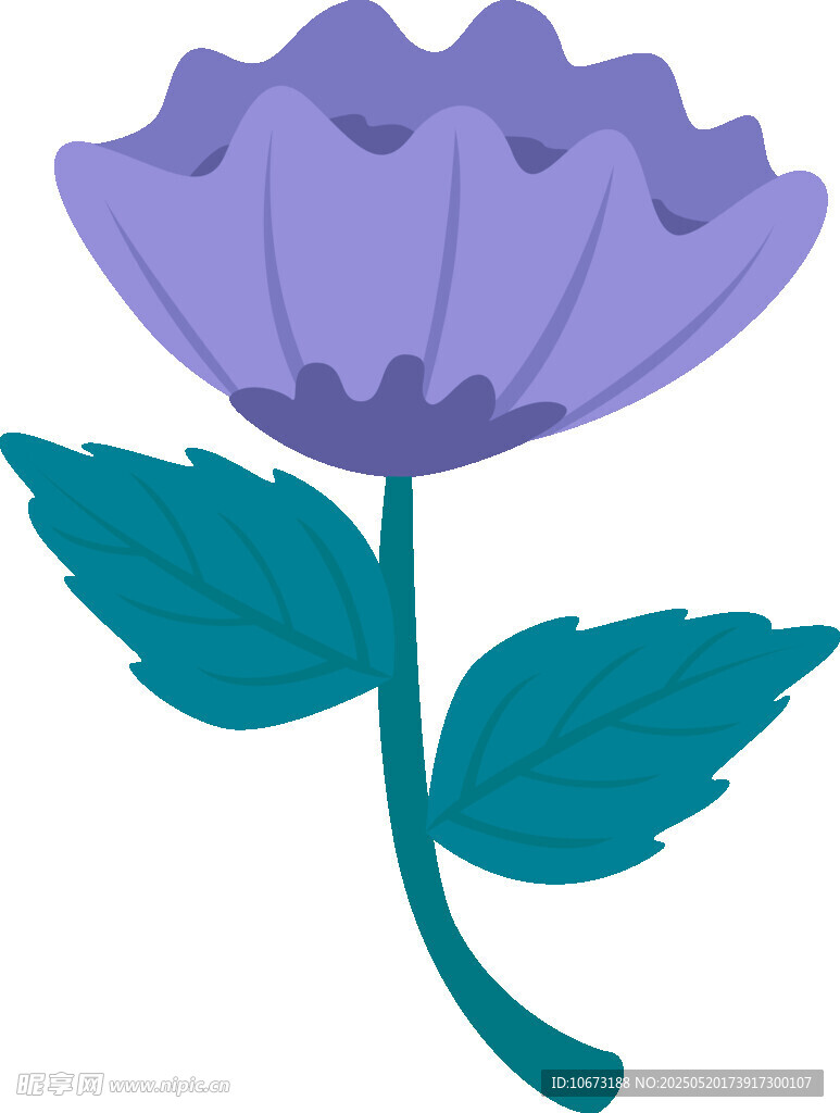 紫色花朵插畫