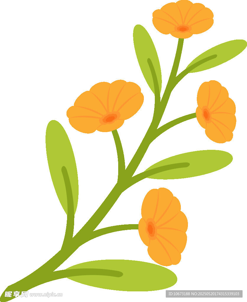 橙色花朵綠葉植物插畫