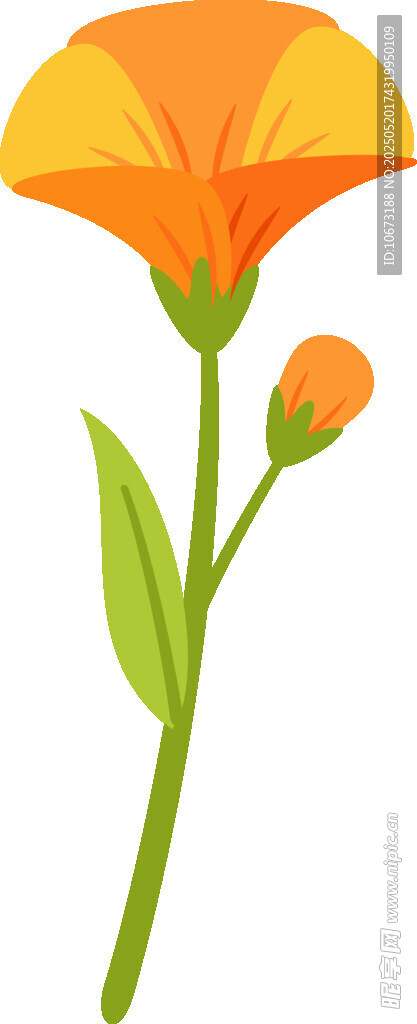 橙色花朵插畫