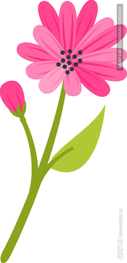 粉色花朵插畫