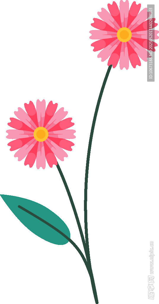 兩朵粉色小花插畫