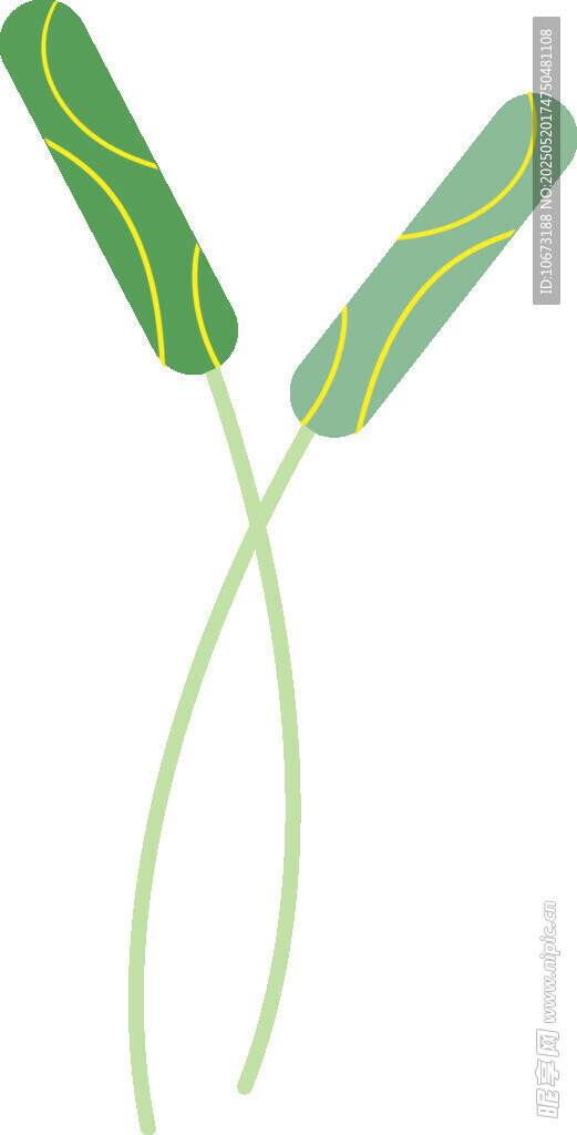 雙枝綠色水生植物插畫