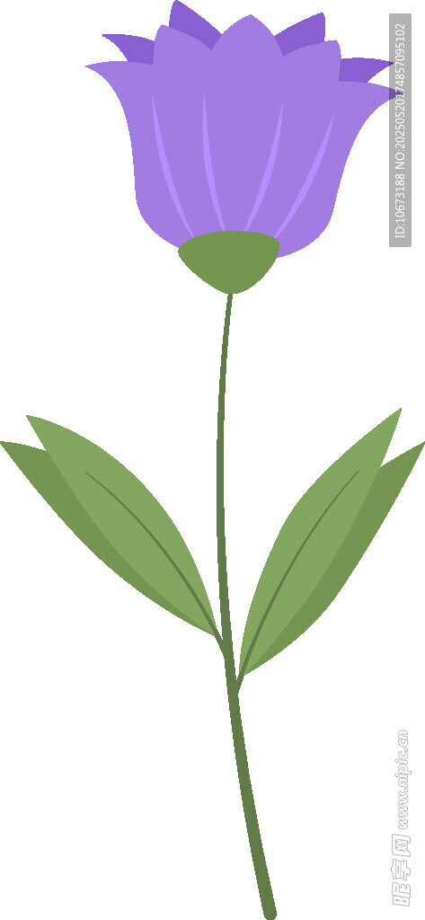 紫色花朵插畫