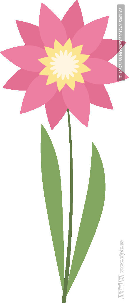粉色花朵插畫