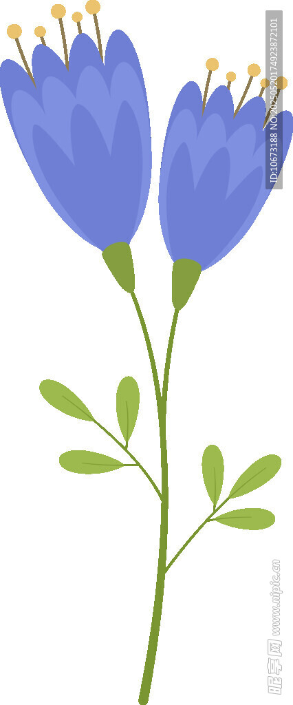 兩朵藍色小花插畫