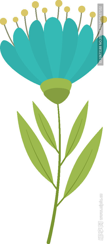 藍色花朵插畫