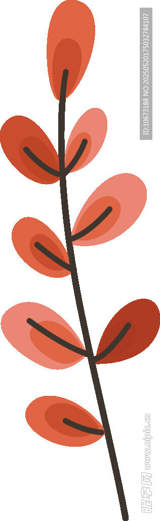 橙紅色葉片植物插畫