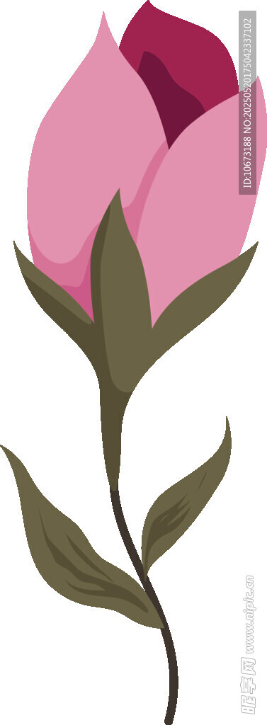 粉色綻放花朵插畫