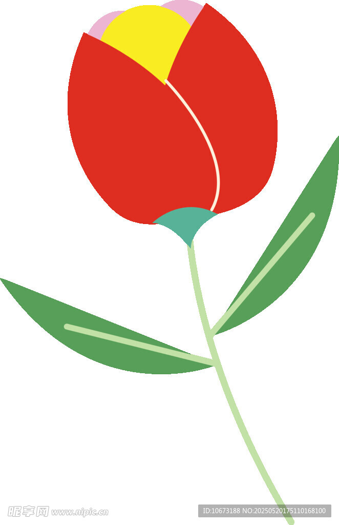 紅色郁金香插畫圖案