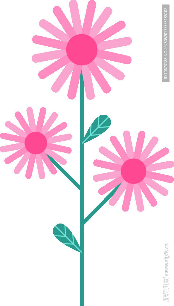 三朵粉色花朵插畫