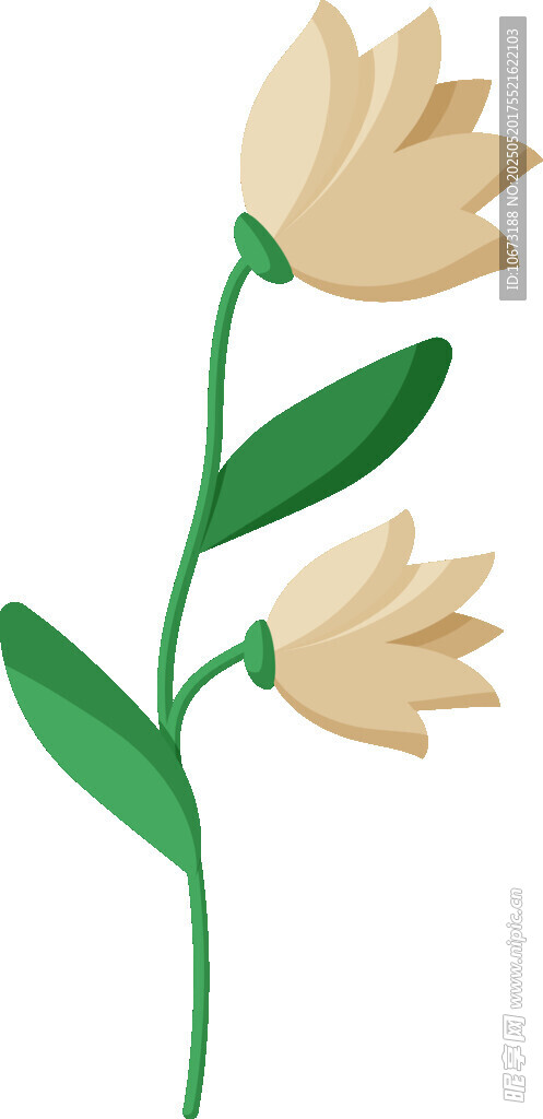 兩朵簡(jiǎn)約風(fēng)格的黃色花朵