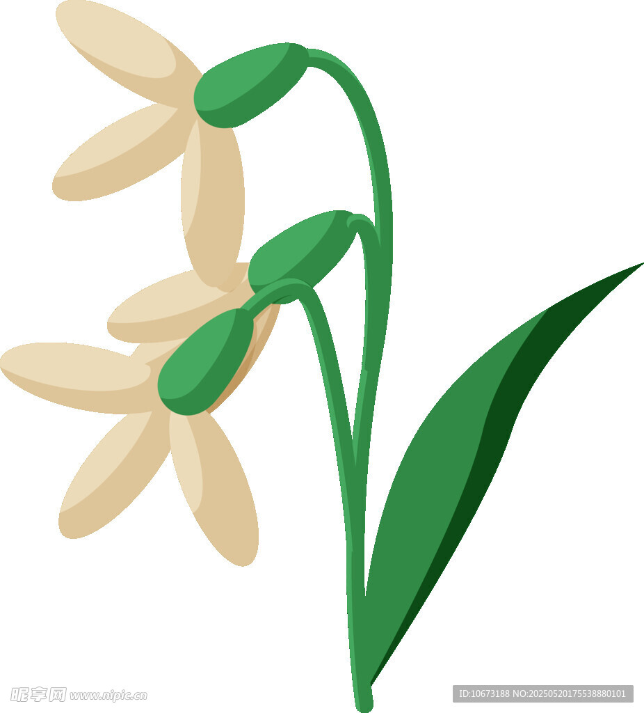 清新淡雅的花朵插畫