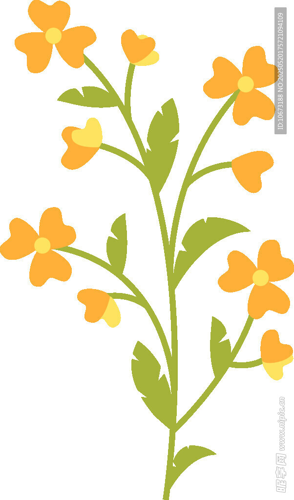橙色小花插畫