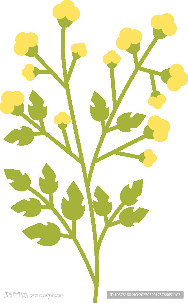 黃色小花植物插畫