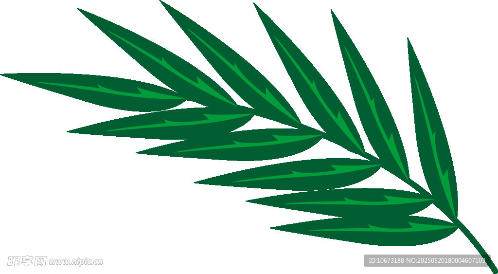 綠色棕櫚葉植物素材