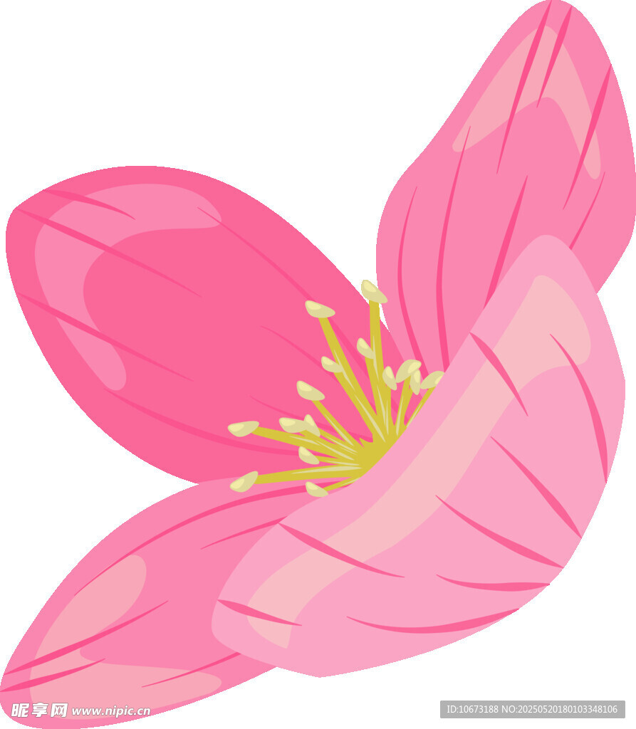 粉色花朵插畫