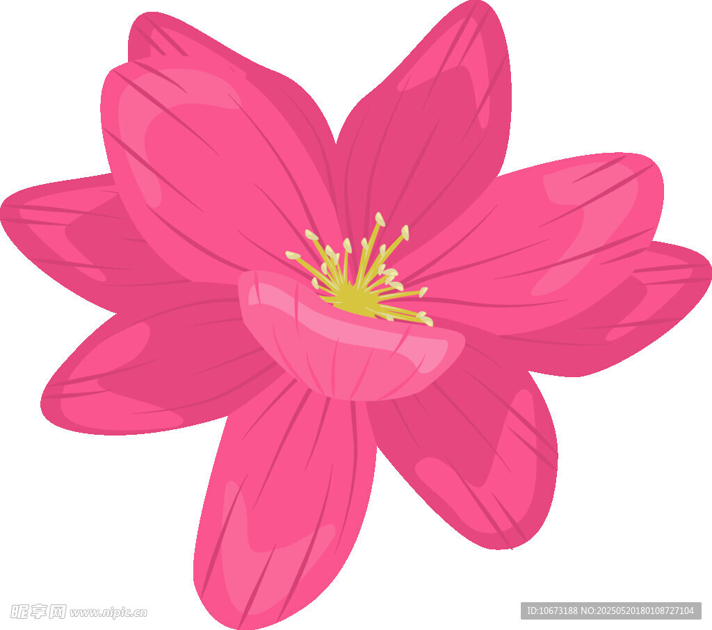 粉色花朵插畫