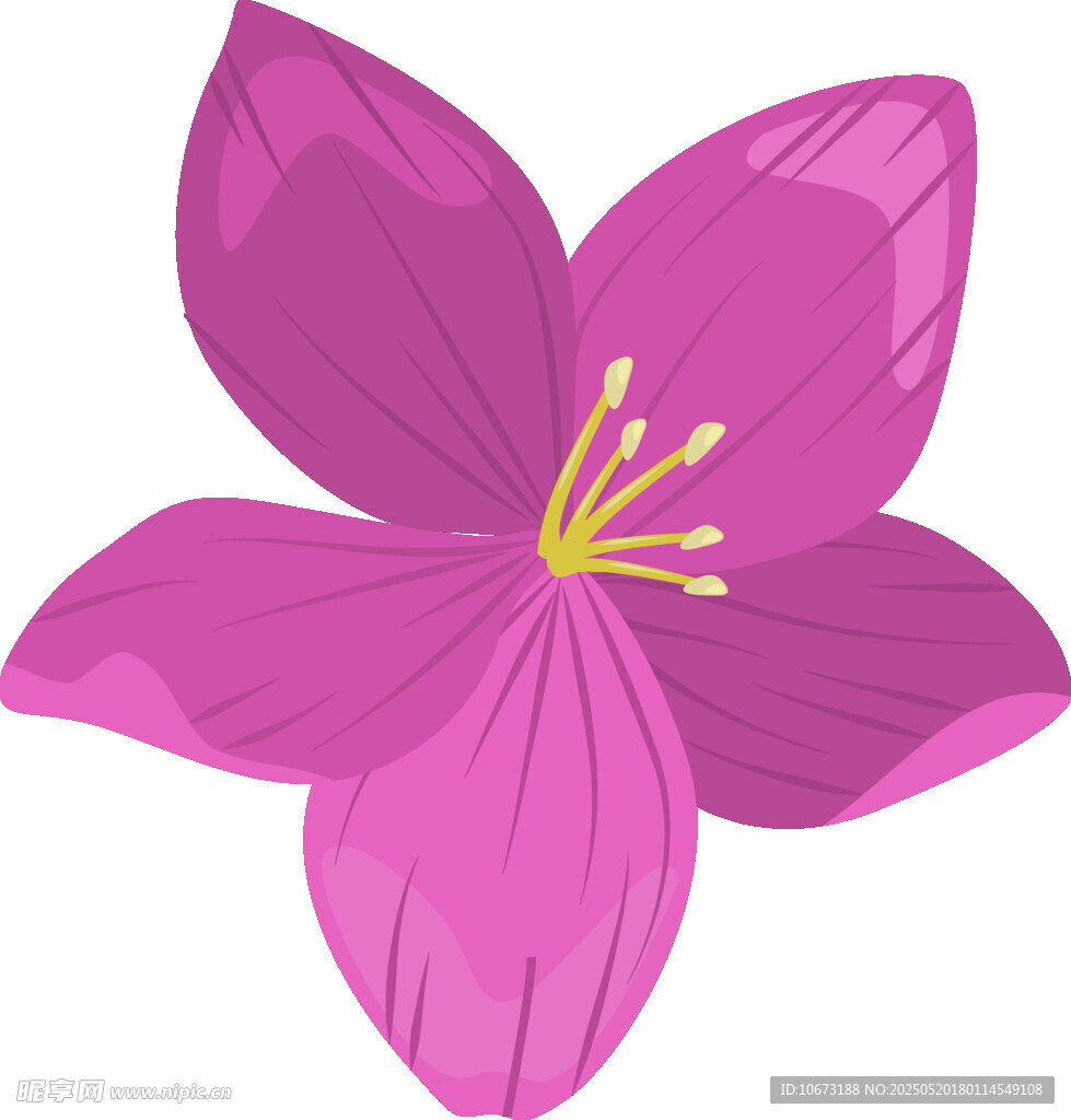 紫色五瓣花插畫