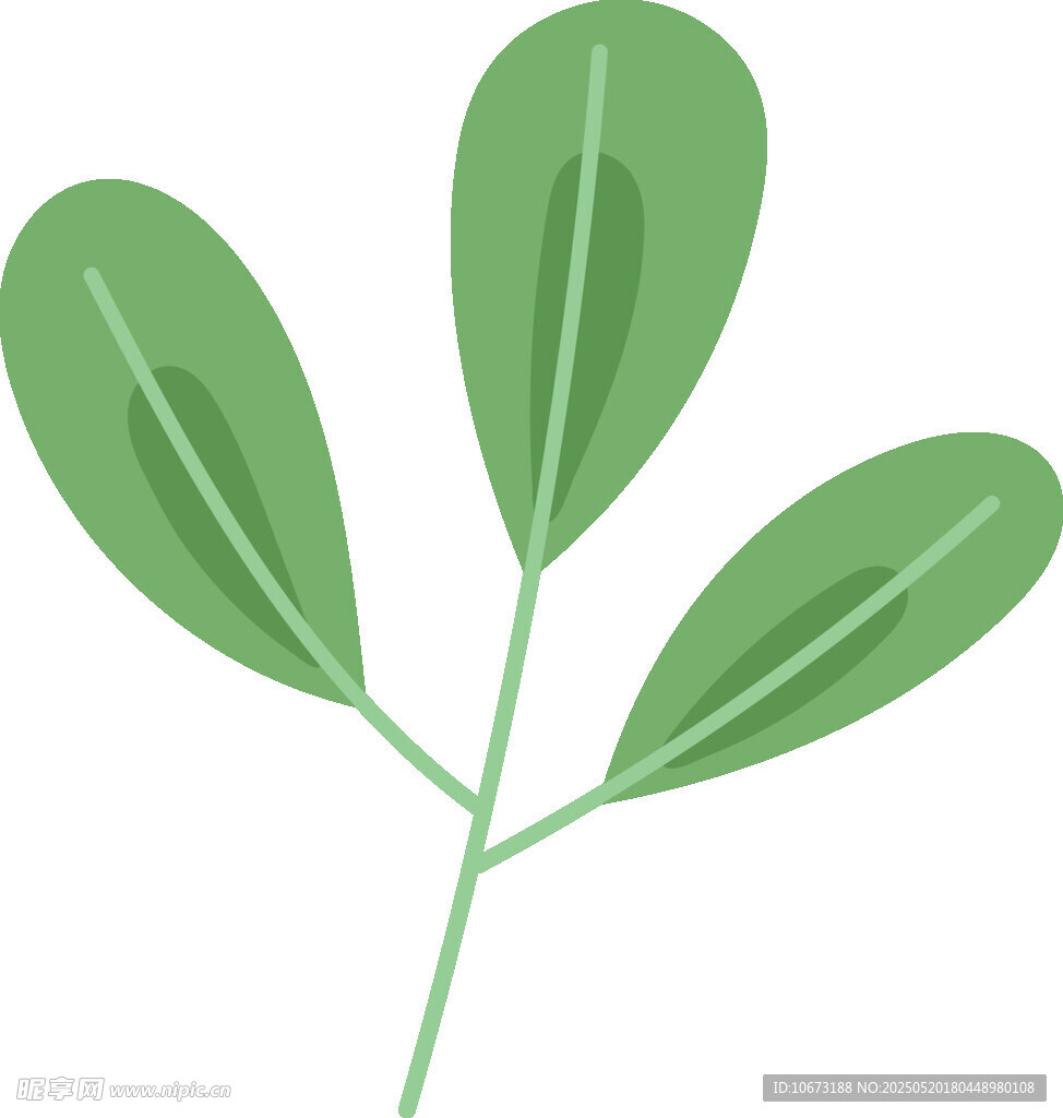 綠色四葉植物插畫