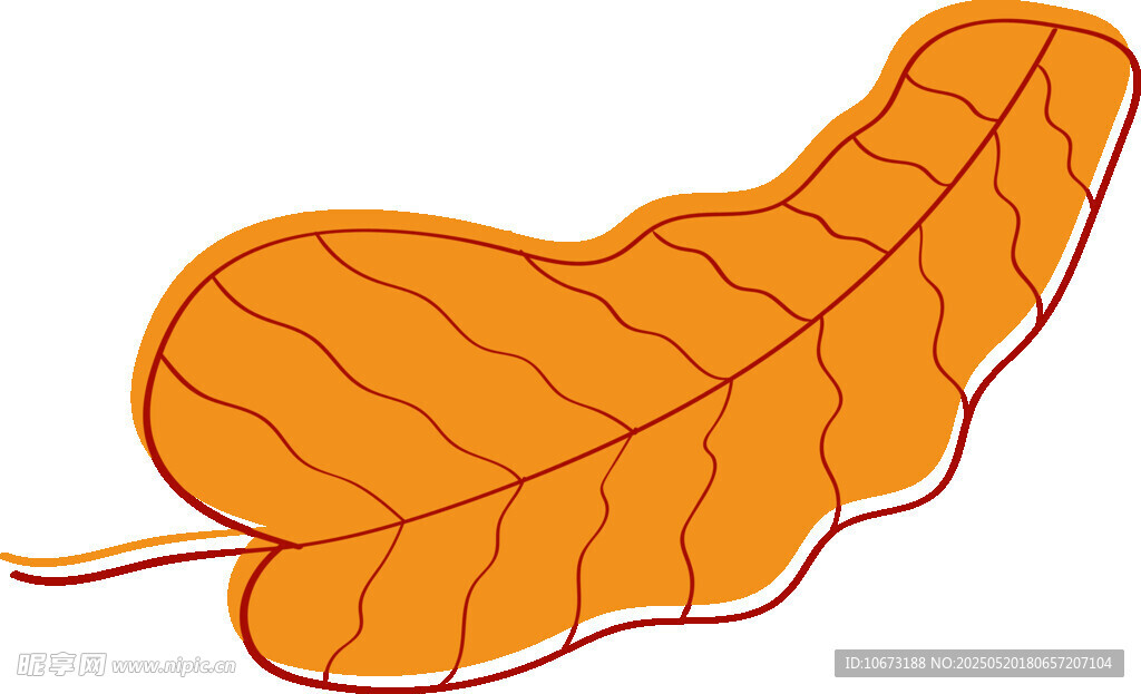 橙色葉片插畫(huà)