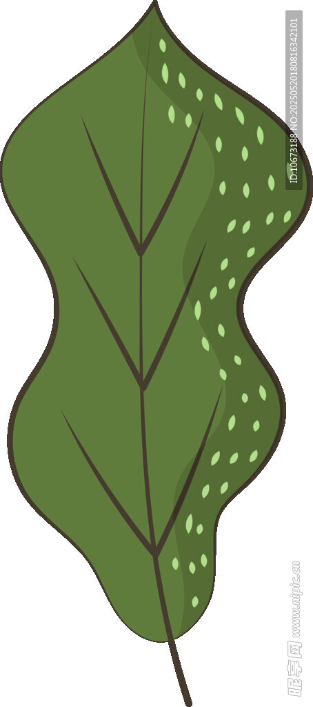 波浪形綠葉插畫(huà)