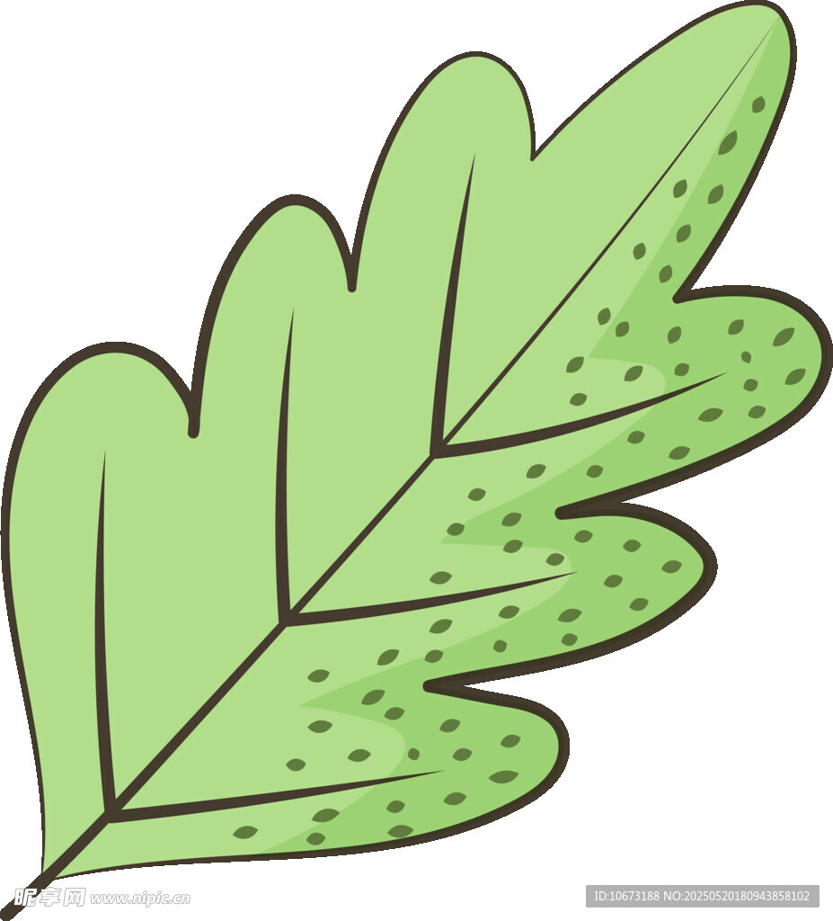 綠色鋸齒狀葉片插畫