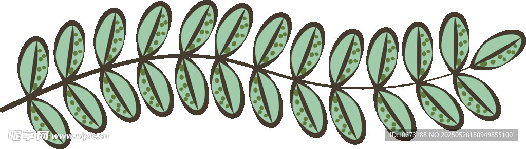 綠色羽狀葉片插畫圖案