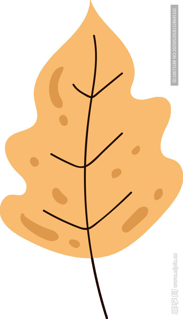 橙黃色楓葉插畫