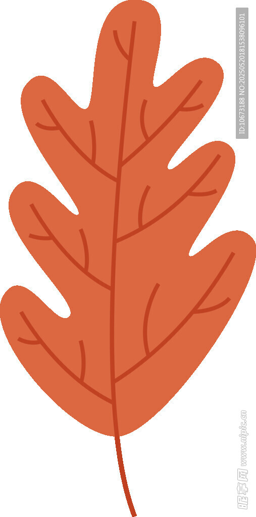 橙色楓葉插畫