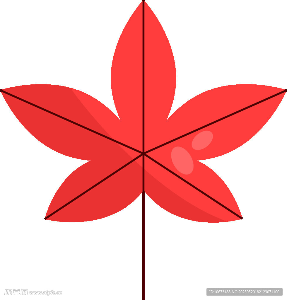 紅色楓葉插畫