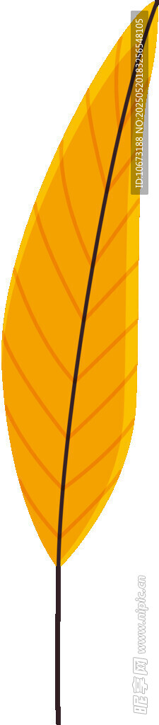兩片金黃羽毛