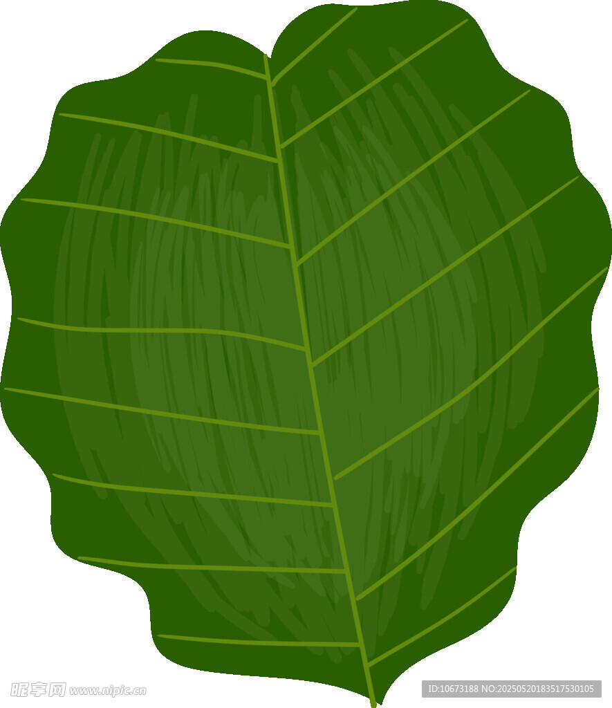 綠色心形葉片插畫