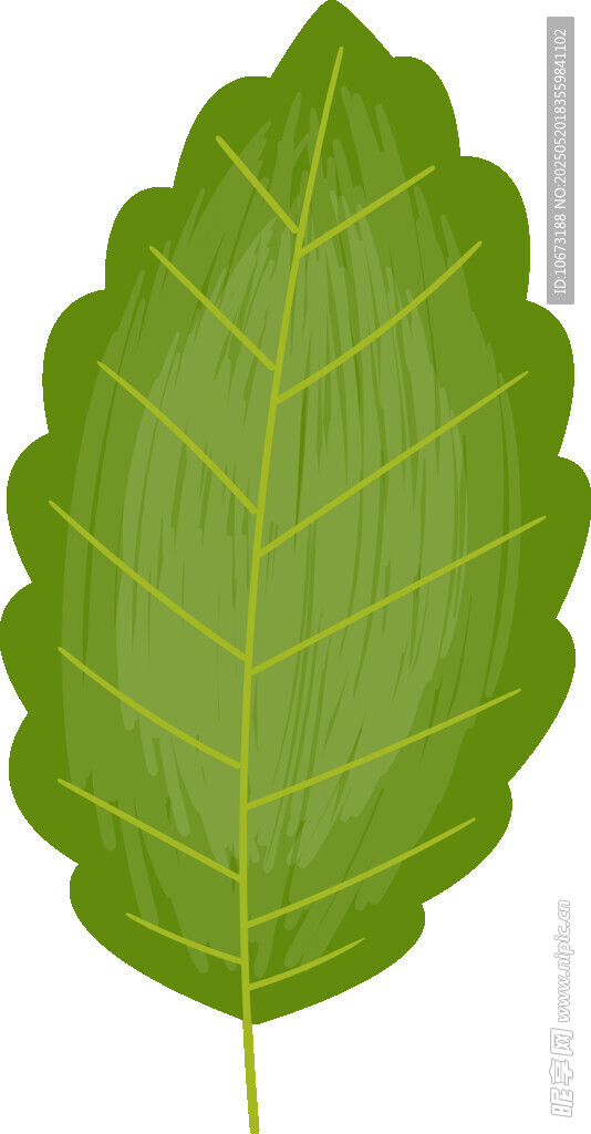 綠色單葉插畫